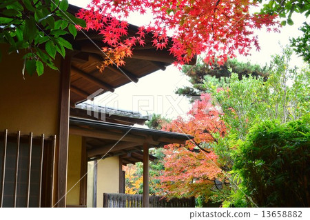 Narukusan in Autumn 13658882
