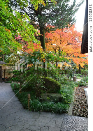 Narukusan在秋天 13658888