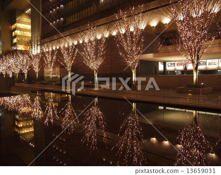 回家的路上 回家的路上 13659031