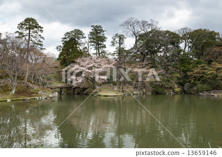Sen-dong Imperial Palace Bridge and Sakura Sen-dong Imperial Palace Bridge and Sakura 13659146