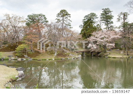 Sen-dong Imperial Palace Bridge and Sakura Sen-dong Imperial Palace Bridge and Sakura 13659147