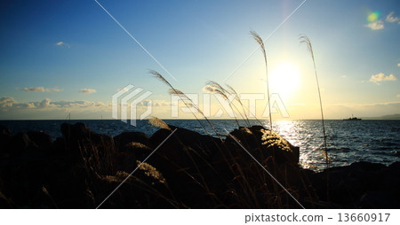 Hakodate Bay evening scenery <Funai-machi Maehama Beach> Hakodate Bay evening scenery <Funai-machi Maehama Beach> 13660917