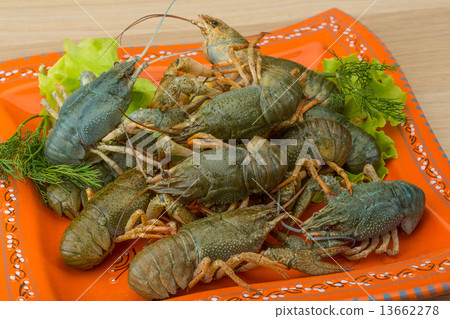 Raw Crayfish 13662278