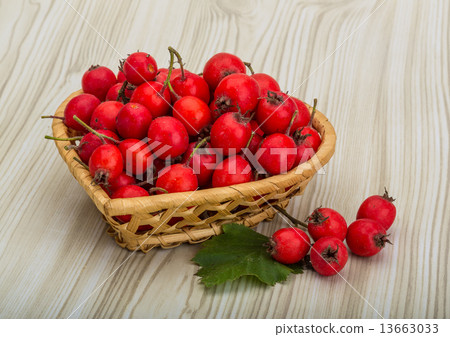 Hawthorn Hawthorn 13663033