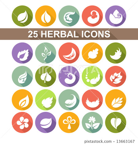 Icon leaf Icon leaf 13663167