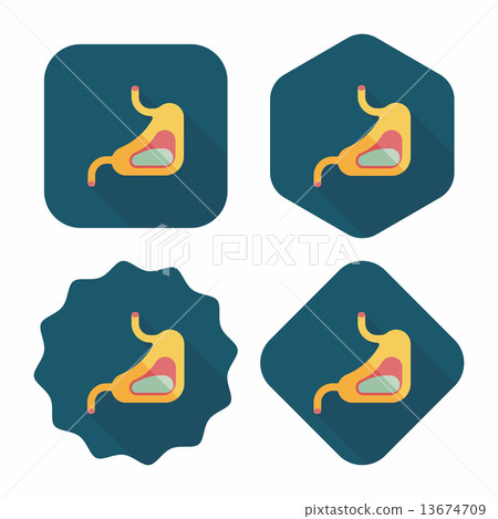 Human stomach flat icon with long shadow 13674709