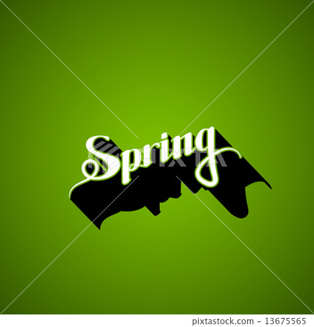 vector typographic illustration of handwritten Spring retro label. lettering composition  13675565