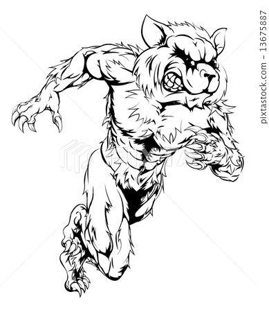 Raccoon sports mascot running 13675887