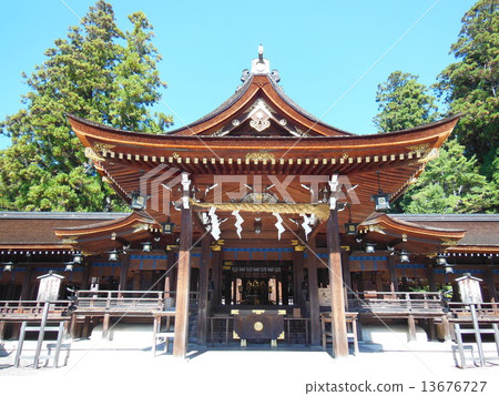 Taga Taisha 13676727
