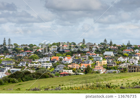 Auckland suburb 13676735