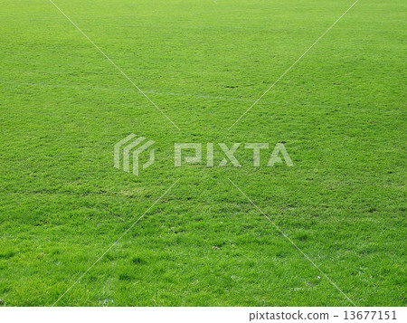 Meadow background Meadow background 13677151