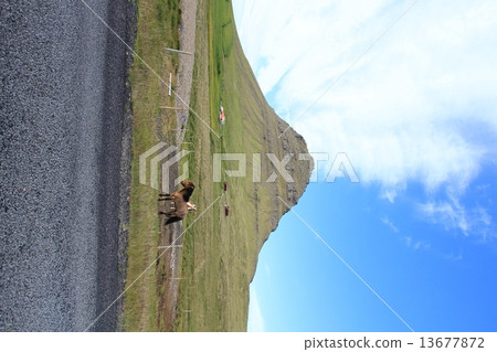 Snæfellsnes in Iceland on the Snyfels Nes Peninsula 13677872
