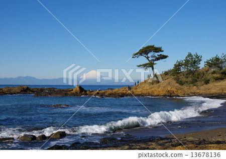 View of Mount Fuji from Akiya/Tateishi Coast (Yokosuka City) 13678136
