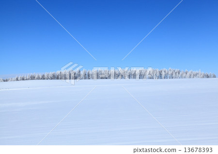 Deciduous trees Namiki White Makeup 13678393