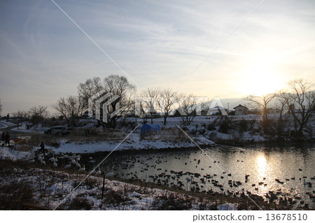 Sunset Sunset 13678510