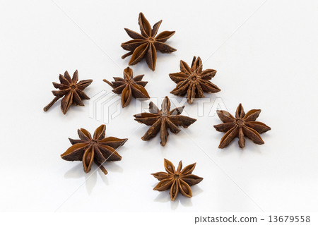 Real star anise in detail isolated Real star anise in detail isolated 13679558