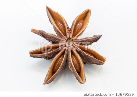 Real star anise in detail isolated 13679559