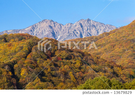 Kashima Atsugatake 13679829