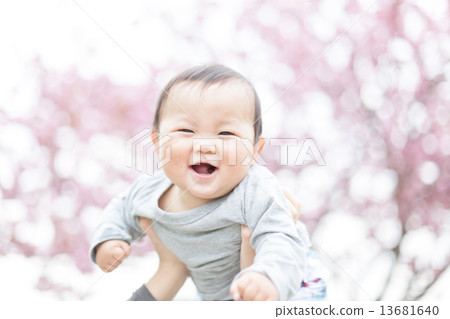 infant, cherry blossom viewing, baby 13681640