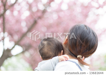 幼兒 櫻花 賞櫻 13681644