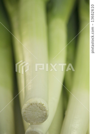 Leek vegetables in supermarket grocers Leek vegetables in supermarket grocers 13682610
