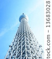 Winter sky and sky tree 13683028