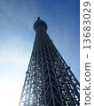 Winter sky and sky tree 13683029
