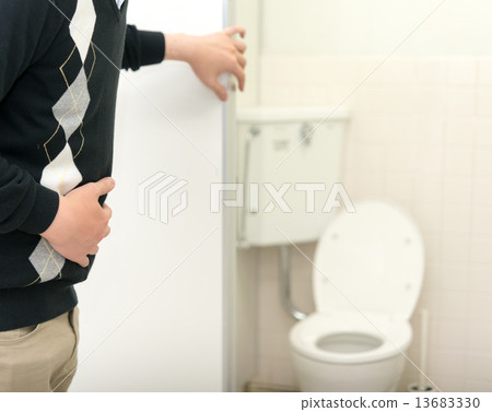 Western style toilet 13683330