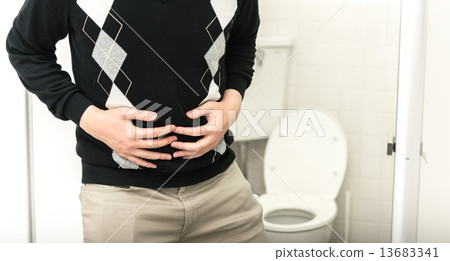 西式廁所 13683341