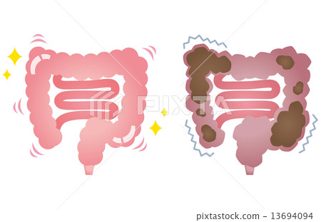 Healthy large intestine constipation colon 13694094