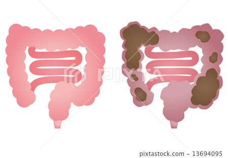 Healthy large intestine constipation colon 13694095