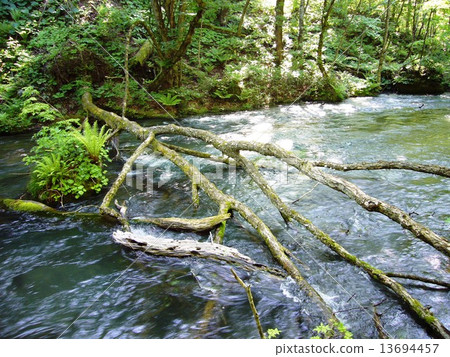 Okusease valley 13694457