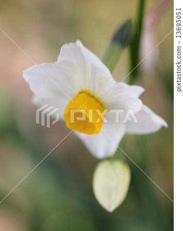 父母和孩子的家庭在雨中被弄濕並且採取日出 13695051