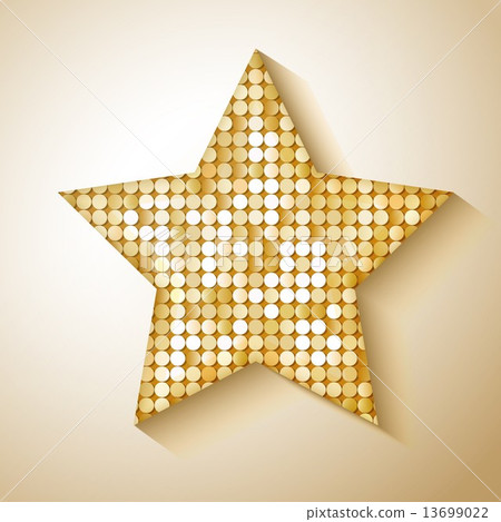 Shiny sequins star. Eps 10 vector illustration 13699022