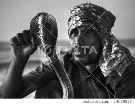 Snake Charmer 13699837
