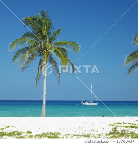 Maria la Gorda Beach, Pinar del Rio Province, Cuba Maria la Gorda Beach, Pinar del Rio Province, Cuba 13700434