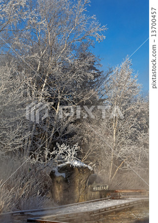 川湯溫泉 13700457