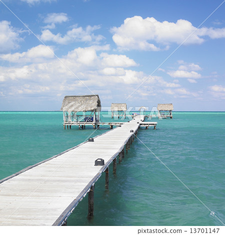 Cayo Guillermo, Ciego de Avila Province, Cuba Cayo Guillermo, Ciego de Avila Province, Cuba 13701147