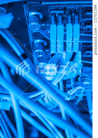 network hub and patch cables 13701394