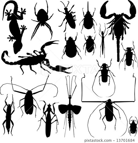Insect silhouettes vector 13701684