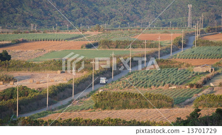 Morning landscape Morning landscape 13701729