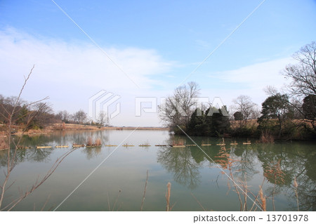 冬季公園 13701978