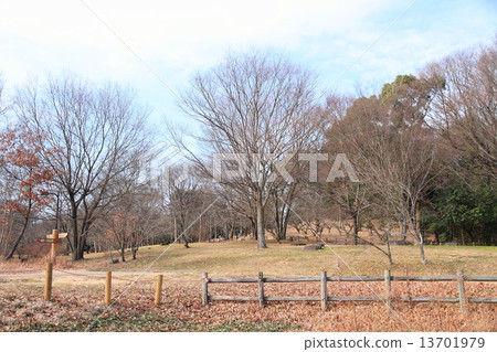 冬季公園 13701979