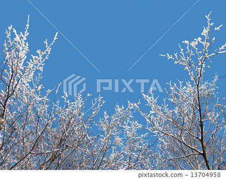 Winter sky Winter sky 13704958