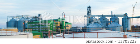 Towers of grain drying enterprise at sunny day Towers of grain drying enterprise at sunny day 13705222
