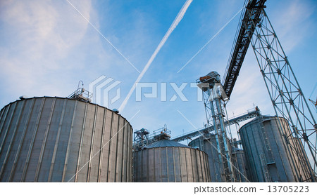 Towers of grain drying enterprise at sunny day Towers of grain drying enterprise at sunny day 13705223