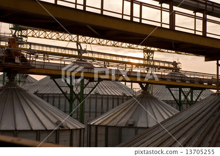 Towers of grain drying enterprise at sunny day Towers of grain drying enterprise at sunny day 13705255