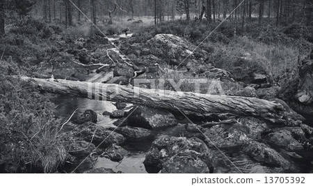 Crashed snag and river 13705392