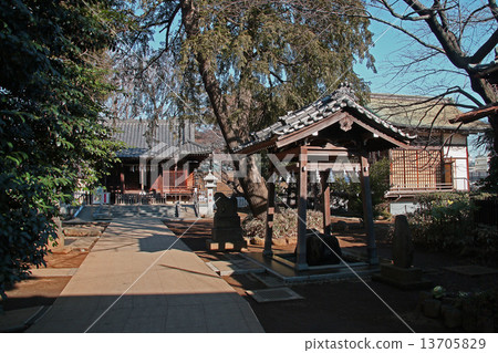 熊野神社（東京板橋） 13705829