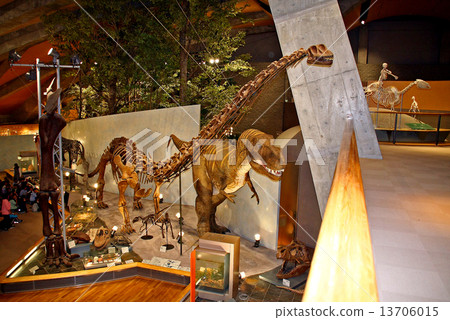 Gunma Prefectural Natural History Museum Gunma Prefectural Natural History Museum 13706015
